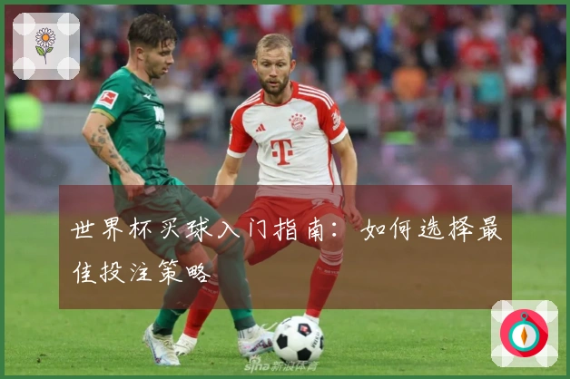 世界杯买球入门指南：如何选择最佳投注策略
