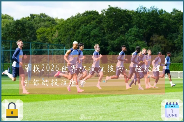 寻找2026世界杯投注技巧，轻松提升你的投注胜率