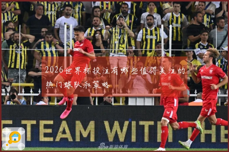 2026世界杯投注有哪些值得关注的热门球队和策略