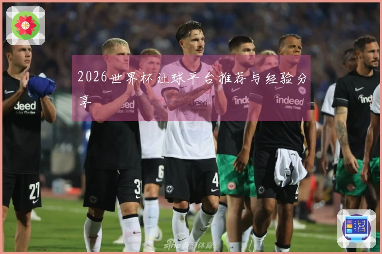 2026世界杯让球平台推荐与经验分享