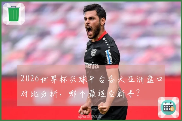 2026世界杯买球平台各大亚洲盘口对比分析，哪个最适合新手？
