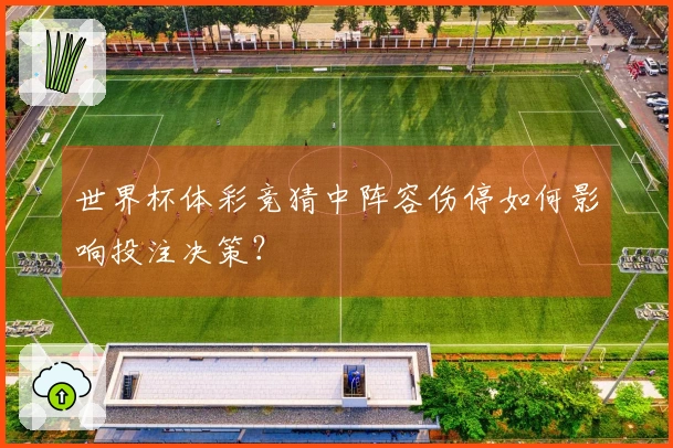 世界杯体彩竞猜中阵容伤停如何影响投注决策？